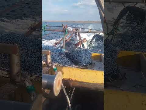 2026 #fishing #pesca #langostinos desde San Antonio Oeste rio negro