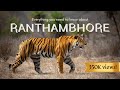 7 Reasons Why RANTHAMBHORE Is The Best Park In India For Tiger Safaris