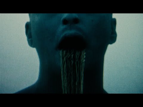 Хаски - Я боюсь 2