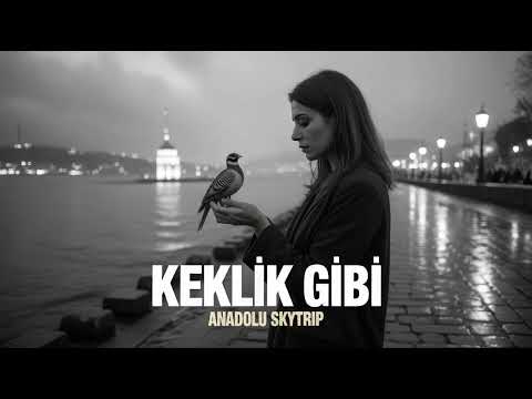 Keklik Gibi | Anadolu Skytrip (High Quality Hi-Fi Psychedelic Rock Cover)