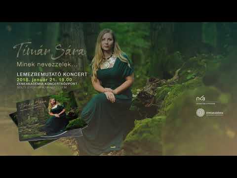 Tímár Sára: Szántó Feri bácsié (Magyarbece, Küküllő-mente)