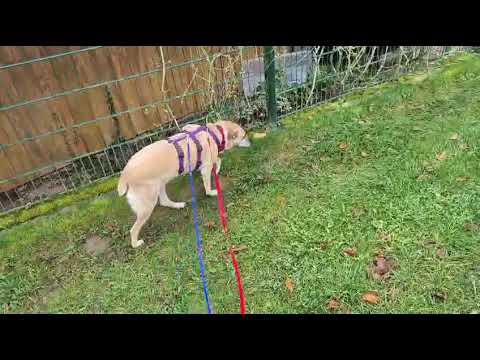 Zamira bei ihrer Pflegefamilie