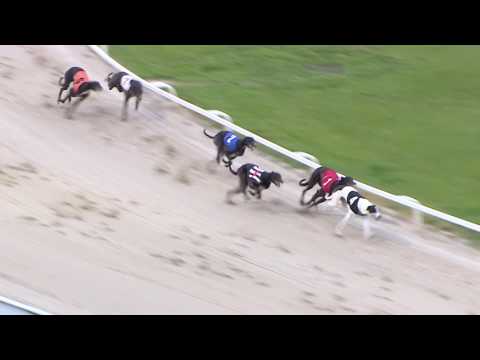 2017 STAR SPORTS DERBY - ROUND 1 HEAT 14 - T4 SHANEBOY STYLE