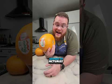 Edible vs Decorative Pumpkins | Grocery Guide #PumpkinTips #fallcooking  #groceryhacks