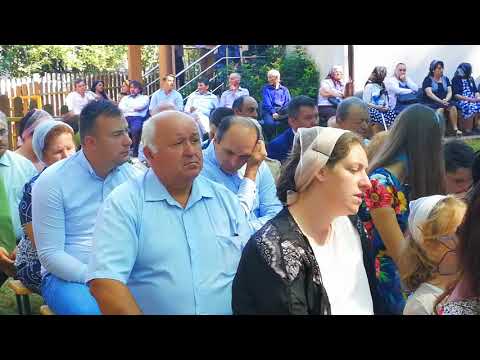 Privind la bolta albastra..........Valea Loznei 20 aug 2018