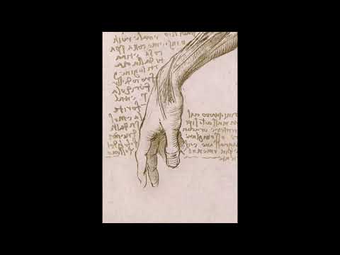 IA Samplers: “Da Vinci Anatomy” by Rowan Dodds