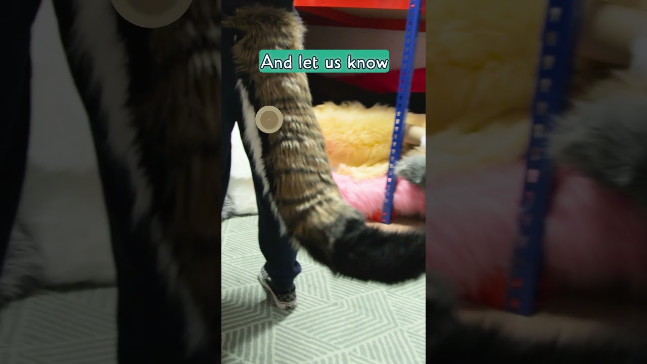 Tails of the Week is back! Which one of these is your favourite? #cosplayers #furry