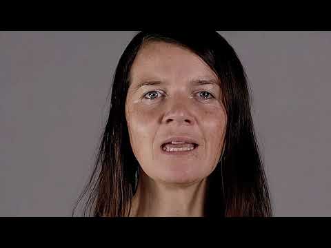 Artikel 19 (Meinungs- und Informationsfreiheit)