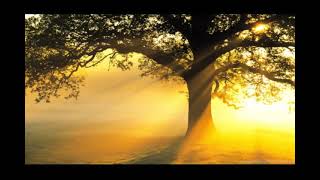 Assemblage 23 - Longevity (deutsche UT)