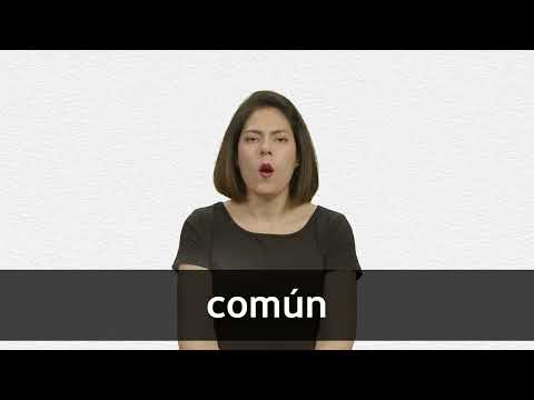 English Translation of “COMÚN” | Collins Spanish-English Dictionary