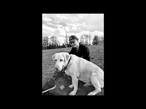 szpiegowsky - pies jak przyjaciel (Abbi tribute)