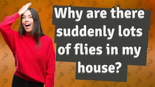 Why are there suddenly lots of flies in my house?