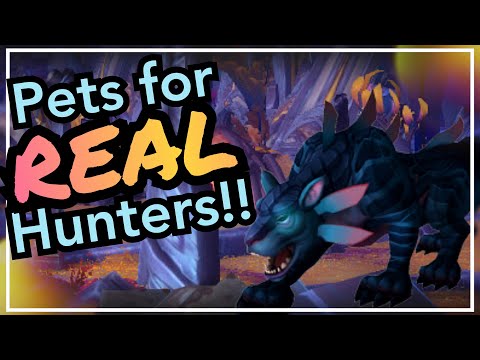 RAREST Obtainable Hunter Pets | Complete Unique Pet Guide | World of Warcraft BFA 8.3