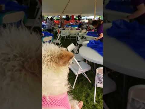 Pip's First NMR Annual Picnic!(2)