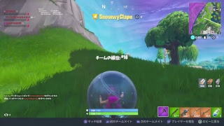 楽しくフォートナイト