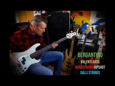 Valenti T21-P5  bass with Nordstrand pickups & 2 band preamp - Andy Irvine