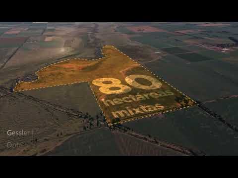 Campo en Gessler - 80 ha