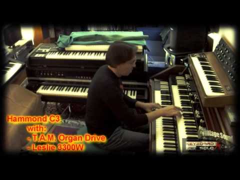8 minutes of analog fun (Rhodes / CP70 / Hammond / Moog)