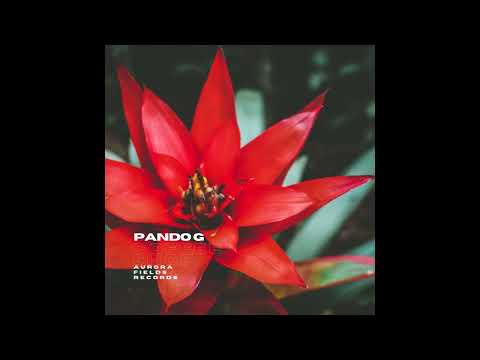 Pando G - Coffee Shop
