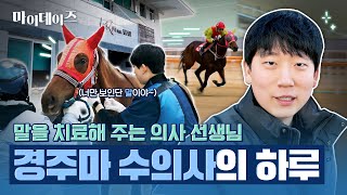 동물병원? 아니죠! 경마장 근무하는 말 수의사의 하루를 소개합니다 💉｜마사회 브이로그