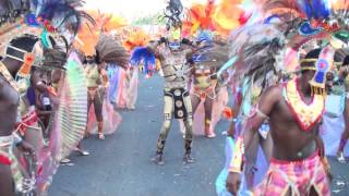 preview picture of video 'Carnaval Guadeloupe 2013   GUIMBO ALL STARS   03 Février à Baie Mahault'