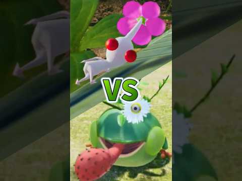 白ピクミンの毒VSびっくり菊#ピクミン4 #shorts