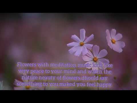 Flower peaceful music/Soothing zen relaxation music/calm music/Healing music