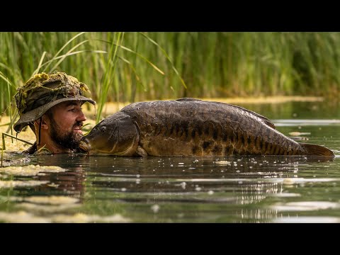 Die beste Methode für den Sommer I Karpfenangeln an der Oberfläche