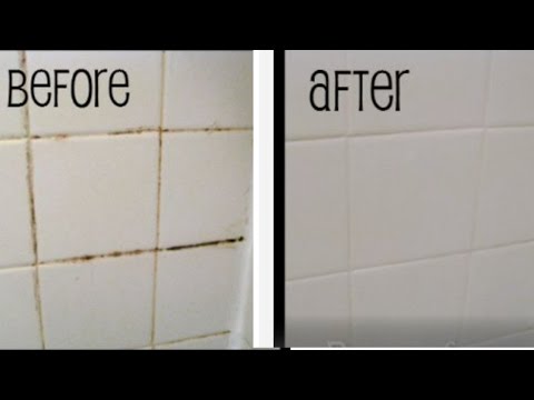 download lagu mp3 mp4 How To Clean Black Mould From Grout, download lagu How To Clean Black Mould From Grout gratis, unduh video klip How To Clean Black Mould From Grout