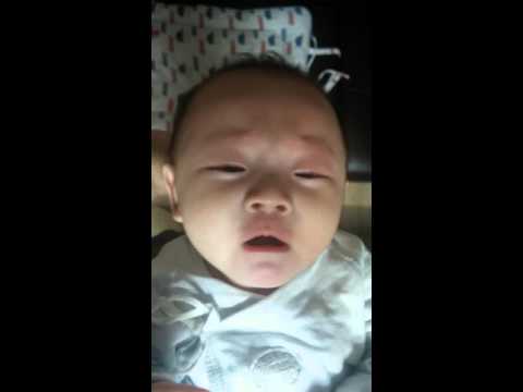 151106 불쌍한 소곰이