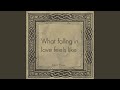 What Falling In Love Feels Like Cover
