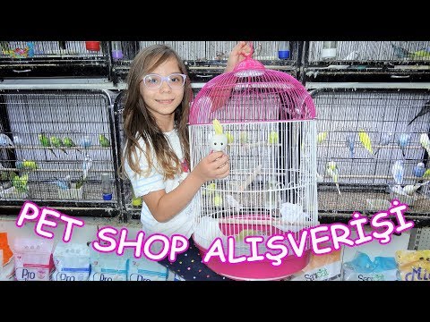 PET SHOP Alışverişi (Hangi evcil hayvanları aldık isimlerini ne koyduk?) Eğlenceli Çocuk Videosu