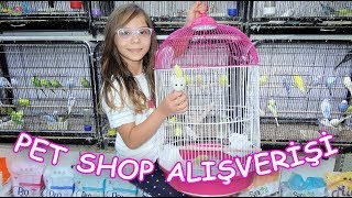 PET SHOP Alışverişi (Hangi evcil hayvanları aldık isimlerini ne koyduk