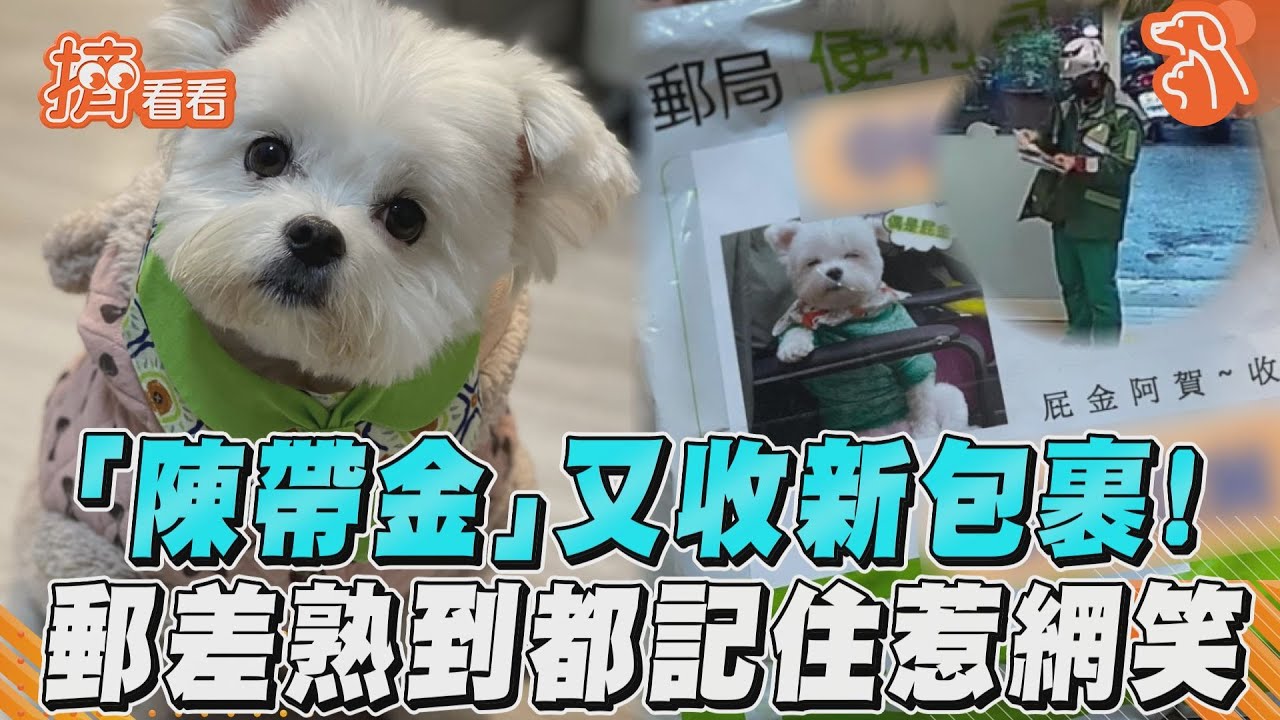 影音/「陳帶金」又收新包裹! 郵差熟到都記住惹網笑
