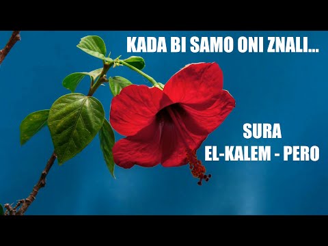 Sura 68. El-Kalem - Pero (Bosanski)┇ᴴᴰ┇Mishary Rashid Alafasy