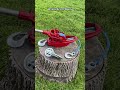 Using Physics To Remove A Tree Treeremoval Tools Physics