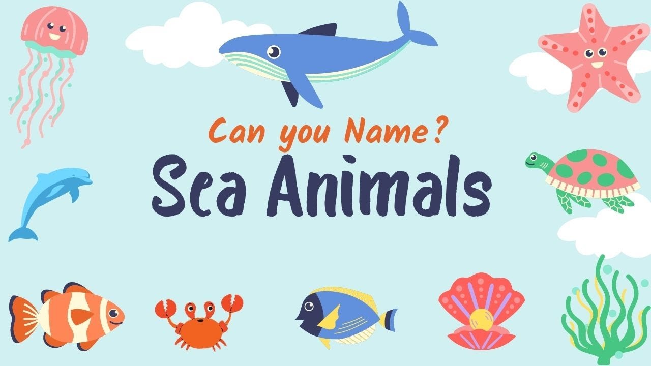 Can you name the Sea Animals? Flash Cards for Kids | List of Sea Animals | Learn Aquatic Animals