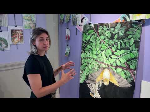 Katie Crawford Discusses Her Work