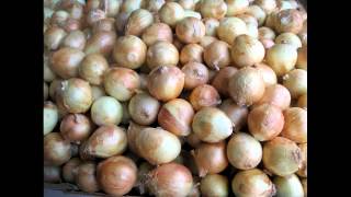 preview picture of video 'FARMERS MARKET, CHARLOTTE, NC, USA.wmv'