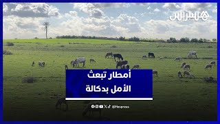 فلاحو دكالة يستبشرون خيرًا بعد التساقطات المطرية الأخيرة thumbnail