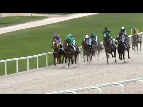 2022.10.02. 06. futam - "ÁRVÍZI HAJÓS" HENDIKEP (V/b.)(szintetikus pálya)