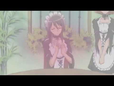 [CEM] she's my number 1#.