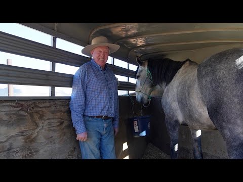 How We Haul Horses Long Distances