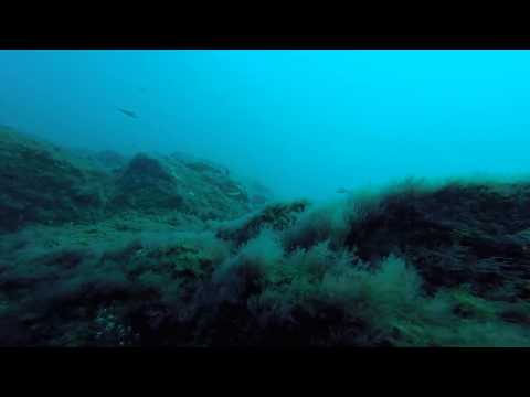 Glenny and Weronika Diving in Gran Canaria with Blue Water Diving in El Cabron July 2015