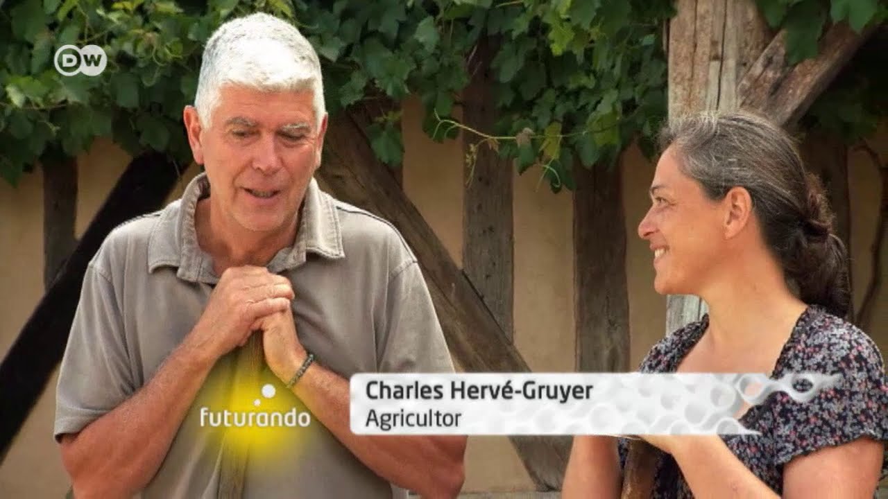 Permacultura, um cultivo sustentável e lucrativo