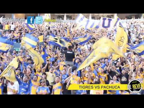 "Libres y Lokos vs Pachuca 2013" Barra: Libres y Lokos &bull; Club: Tigres