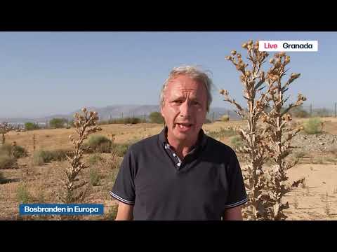 VRT | Het journaal - dinsdag 26 juli 2022 om 18:59