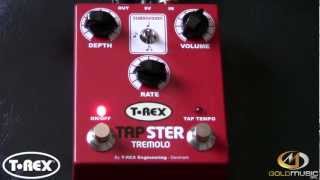 Video thumbnail for T-REX TAPSTER TREMOLO DEMO BY SIMONE CAPUTO by Goldmusicsrl