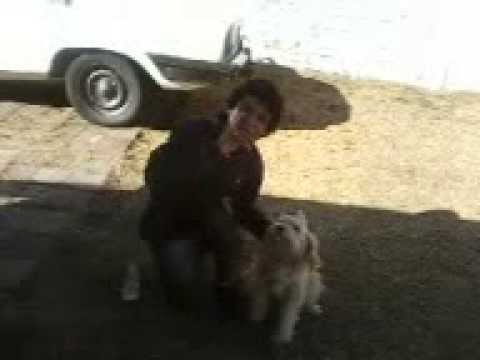 La Cañita Con Mi Peerra La Rebo 4  Uacho/a