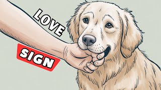 7 Signs That Your Dog Has Imprinted on You Not Every Dog Owner